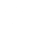 Bull's head