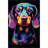 Dachshund Dog Illustration