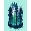 pine forest landscape