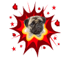 Comic Dog Design - Pow - Pug
