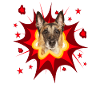 Comic Dog Design - Pow - Malinois