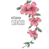 1983 Hibiskus pink