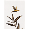 Abstrakter Vogel