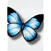 Blauer Schmetterling