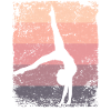 Gymnaste Gymnaste Gymnastique Rythmique Rétro