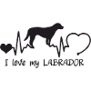 Labrador mit Herzschlag
