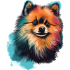 Pomeranian Zwegspitz Zeichnung