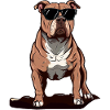 Pitbull The Model