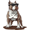 Pitbull Owner Gifts