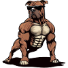 Pitbull The BodyBuilder