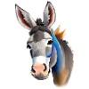 cute donkey