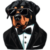 Rottweiler La Mignonne