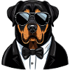 Rottweiler Wearing Aviators