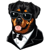 Rottweiler Le Modèle