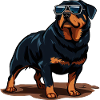 Rottweiler Wearing Sunglasses