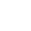 Koch Skull