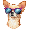 CHIHUAHUA WEARING SUNGLASSES