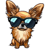 Chihuahua Chiot