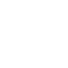 Biker Skull