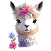 sweet llama