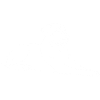 Labrador liegend