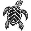 Sea turtle