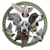 setter and woodcocks