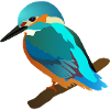martin-pêcheur