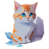 chat mignon