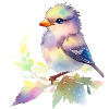 oiseau mignon