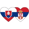 Slovakia Serbia Heart Flag