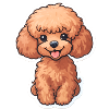 Cute Baby Poodle Dog Sticker