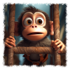 Cute monkey