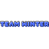 TEAM WINTER