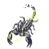 Scorpio Astrologie