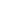 Reindeer Skull