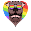 Rainbow - Chien pitbull avec lunettes