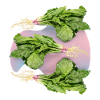 Spinat, frischer Spinat-Spinach Blattspinat