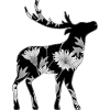 Hirsch