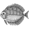 Fisch