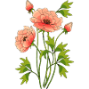 Blumen