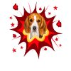 Comic Dog Design - Pow - Beagle