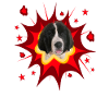 Comic Hund Design - Pow - Landseer
