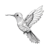 Hummingbird