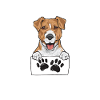Jack Russell Terrier