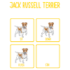 Jack Russell Terrier