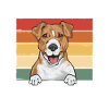 Jack Russell Terrier