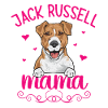 Jack Russell Terrier