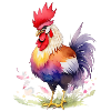 Proud rooster