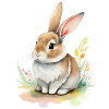 cute bunny